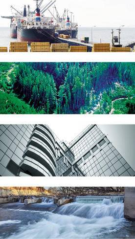 Grupo empresarial
